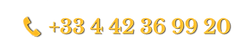 logo (1)_edited.png