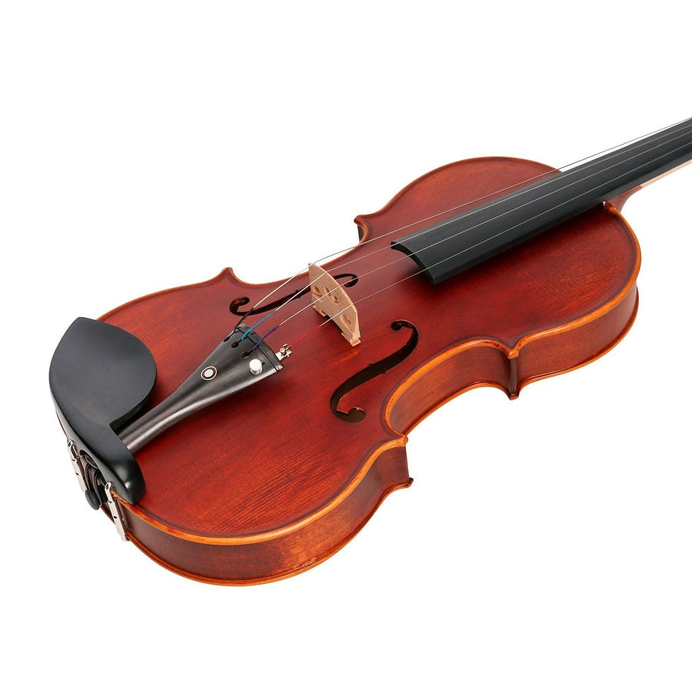 Thumbnail: STEINHOFF FULL SIZE ADVANCED STUDENT SOLID TOP VIOLIN (ANTIQUE FINISH)
