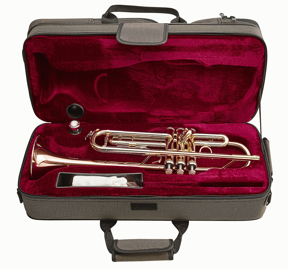 Thumbnail: BEALE TR200 TRUMPET