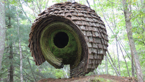 The Journey - Tim Norris (English version)