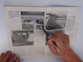 養豚界掲載、美明豚