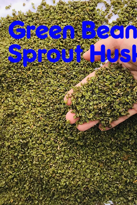 bean sprout husk pillow