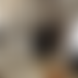 უფლის საფლავი დროებით დაიკეტა