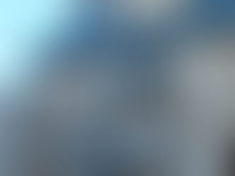 'არც ლაქა, არც მანკი'…