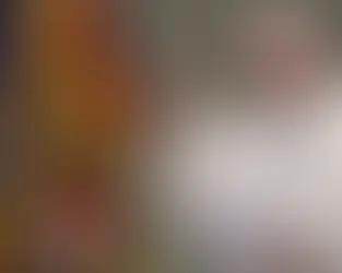 პაპი ევთანაზიისა და დასავლეთის შეცდომების შესახებ