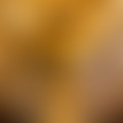 ლატერანის ბაზილიკის კურთხევის დღესასწაული