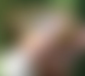 "მღვდელი არა კლერიკალიზმის, არამედ თანაგრძნობის ადამიანია" - პაპი ფრანცისკე