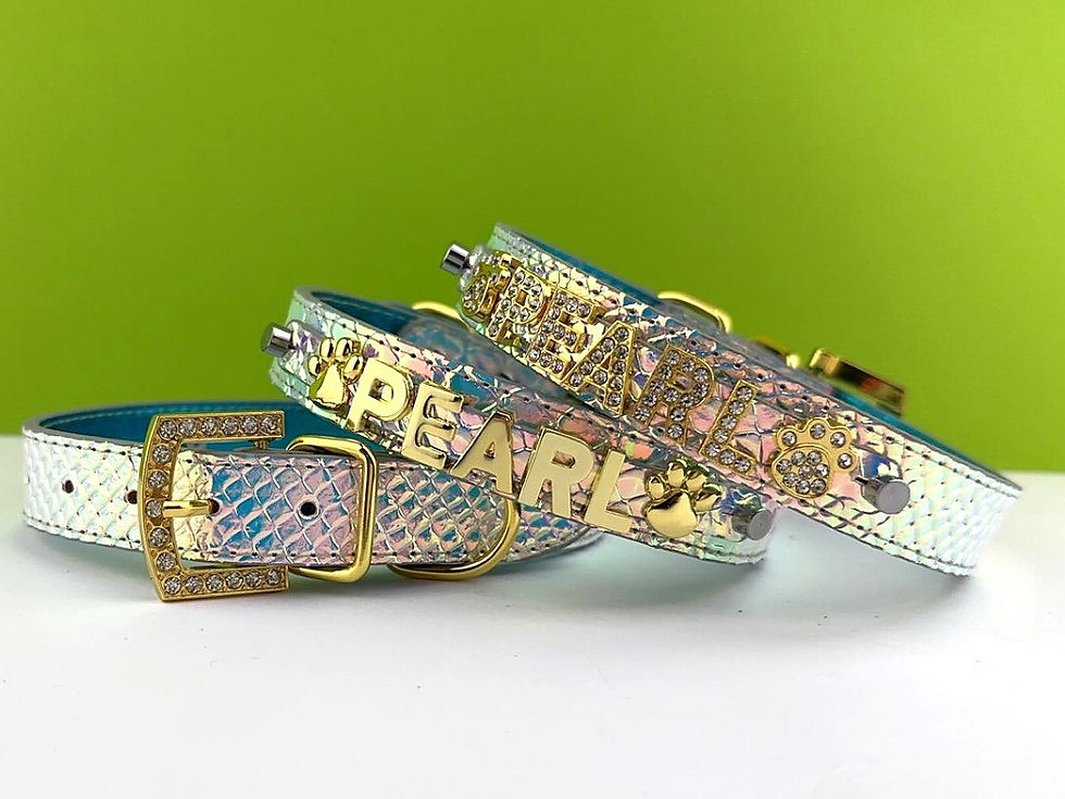 Thumbnail: Iridescent Unicorn Collar | Gold Hardware