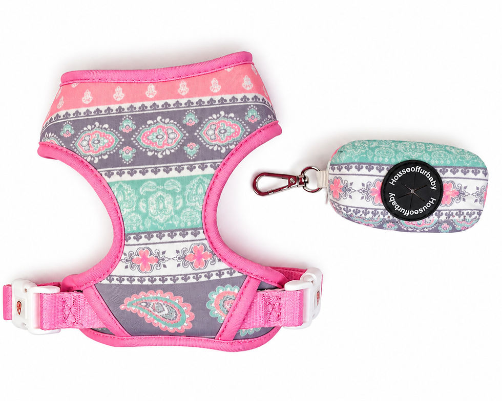 Thumbnail: Pastel Paisley Dog Harness | Adjustable Pet Harness