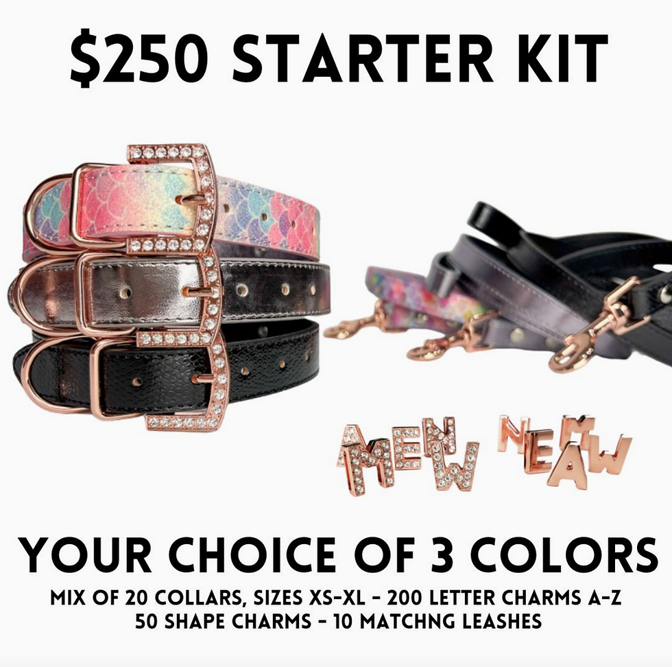 Thumbnail: DIY Pet Collar Bar Starter Pack -  Rose Gold - $250 Bundle