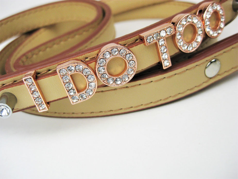 Thumbnail: I DO TOO leash with Rose Gold lettering- 10 color options | Matching Collar
