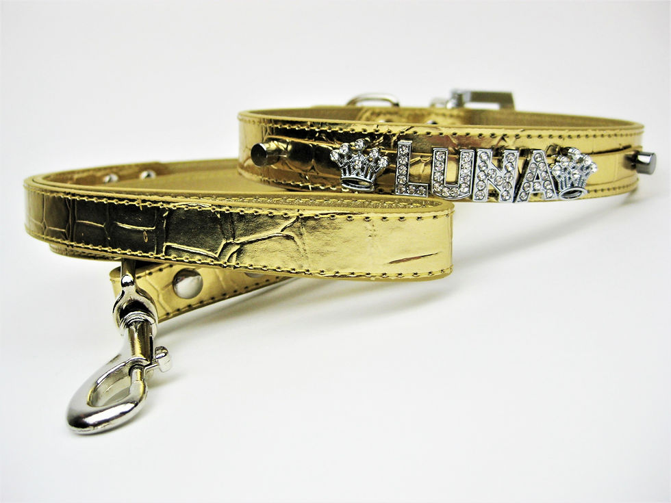 Thumbnail: Gold Croc Collar | Silver buckle