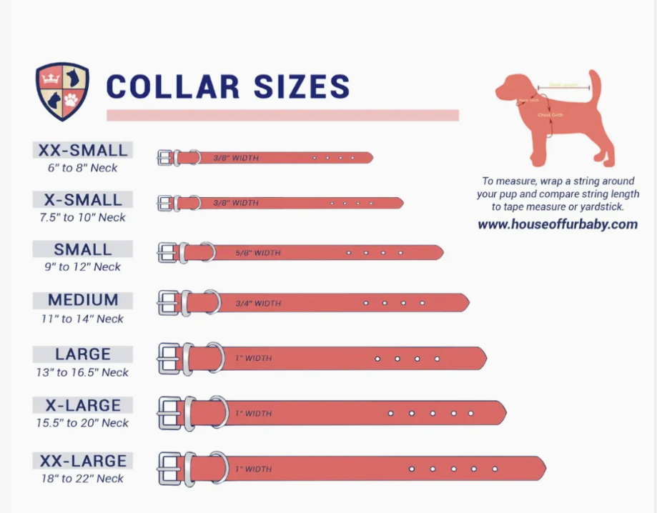 Thumbnail: BEST VALUE! DIY Pet Collar Bar Starter Pack - Silver Matte - $500 Bundle