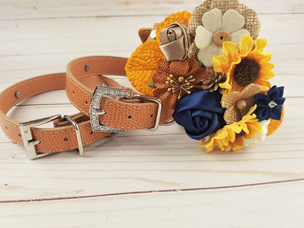 Thumbnail: Sunflower and Shine Floral Collar | Matching Leash option