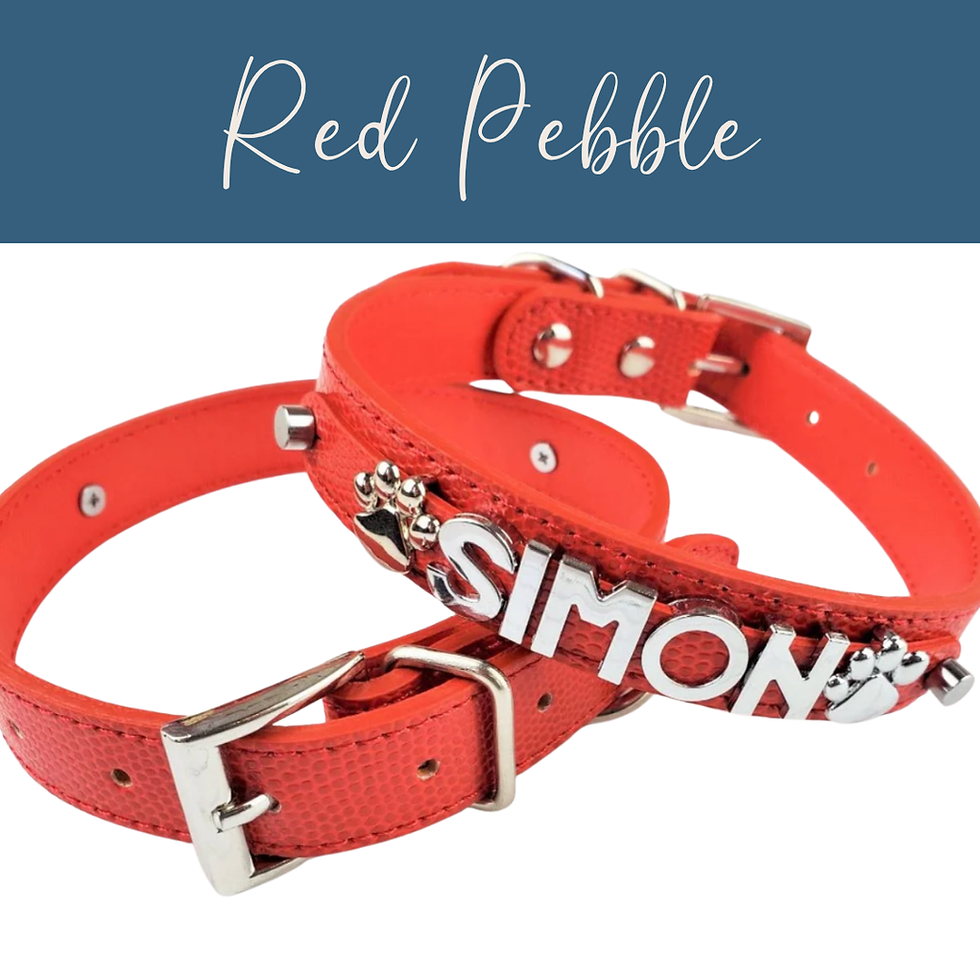 Thumbnail: BEST VALUE! DIY Pet Collar Bar Starter Pack - Silver Matte - $500 Bundle