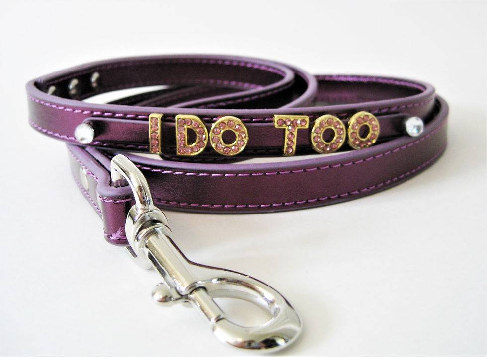 Thumbnail: I DO TOO leash with Rose Gold lettering- 10 color options | Matching Collar