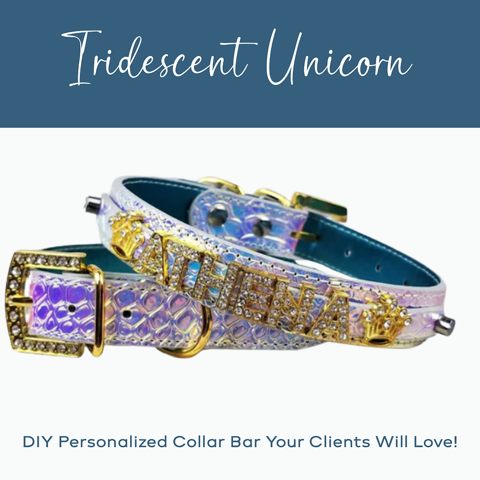 Thumbnail: DIY Pet Collar Bar Starter Pack -  Gold Sparkle - $250Bundle