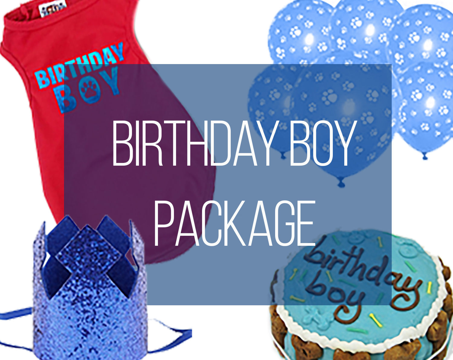 Birthday Boy Dog Party Package