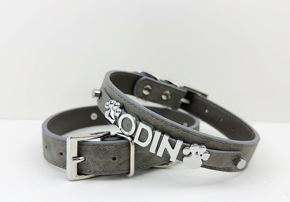 Thumbnail: Elephant Gray Suede Collar | chrome buckle