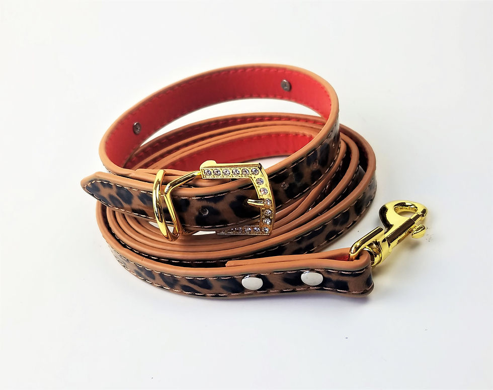 Thumbnail: Bold Leopard Collar | Gold Hardware