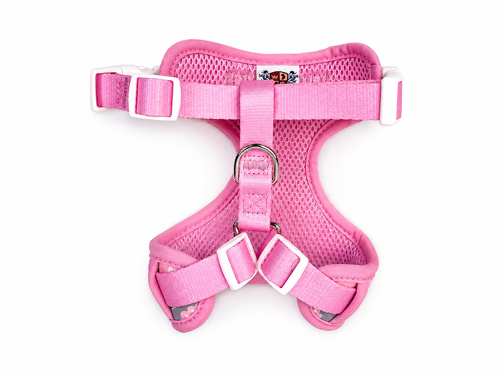 Thumbnail: Pastel Paisley Dog Harness | Adjustable Pet Harness