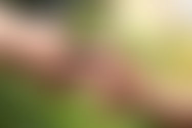 Impulsan soluciones ambientales en iniciativa global