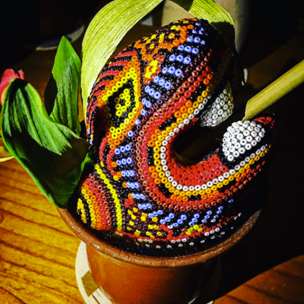 Xaveri, festival étnico para la comunidad huichol