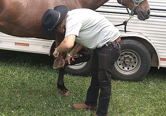 Adult male student cleaning out lesson horse hooves