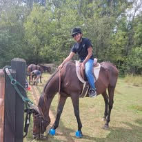 young male student sitting on lesson horse
