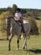 pre teen girl riding big grey horse in lesson