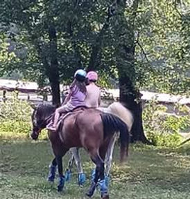 Brother and sister students riding in lesson together