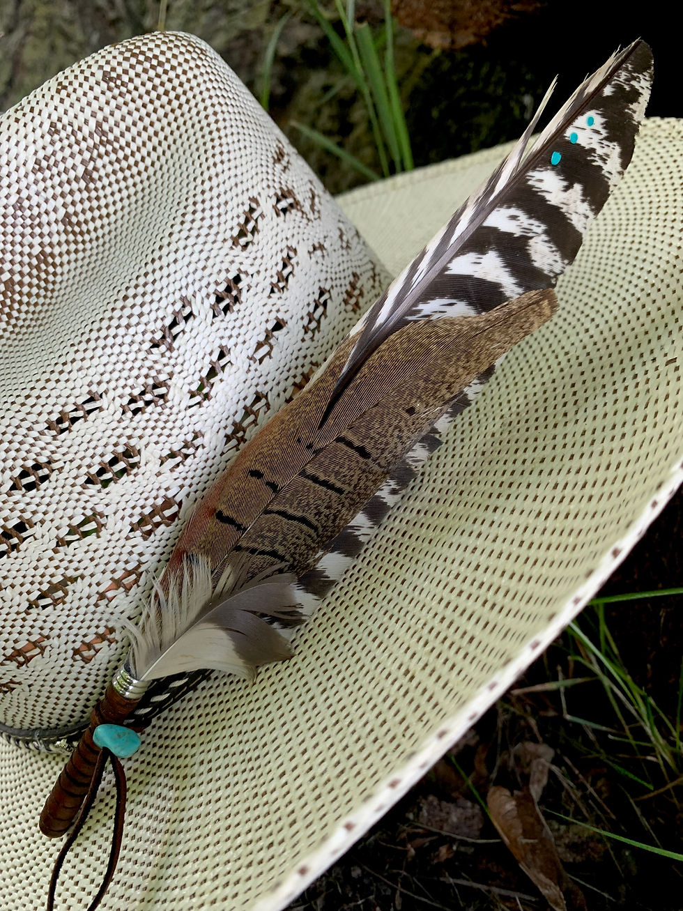 Thumbnail: Western Hat Feather “High Plains Banded Plume”