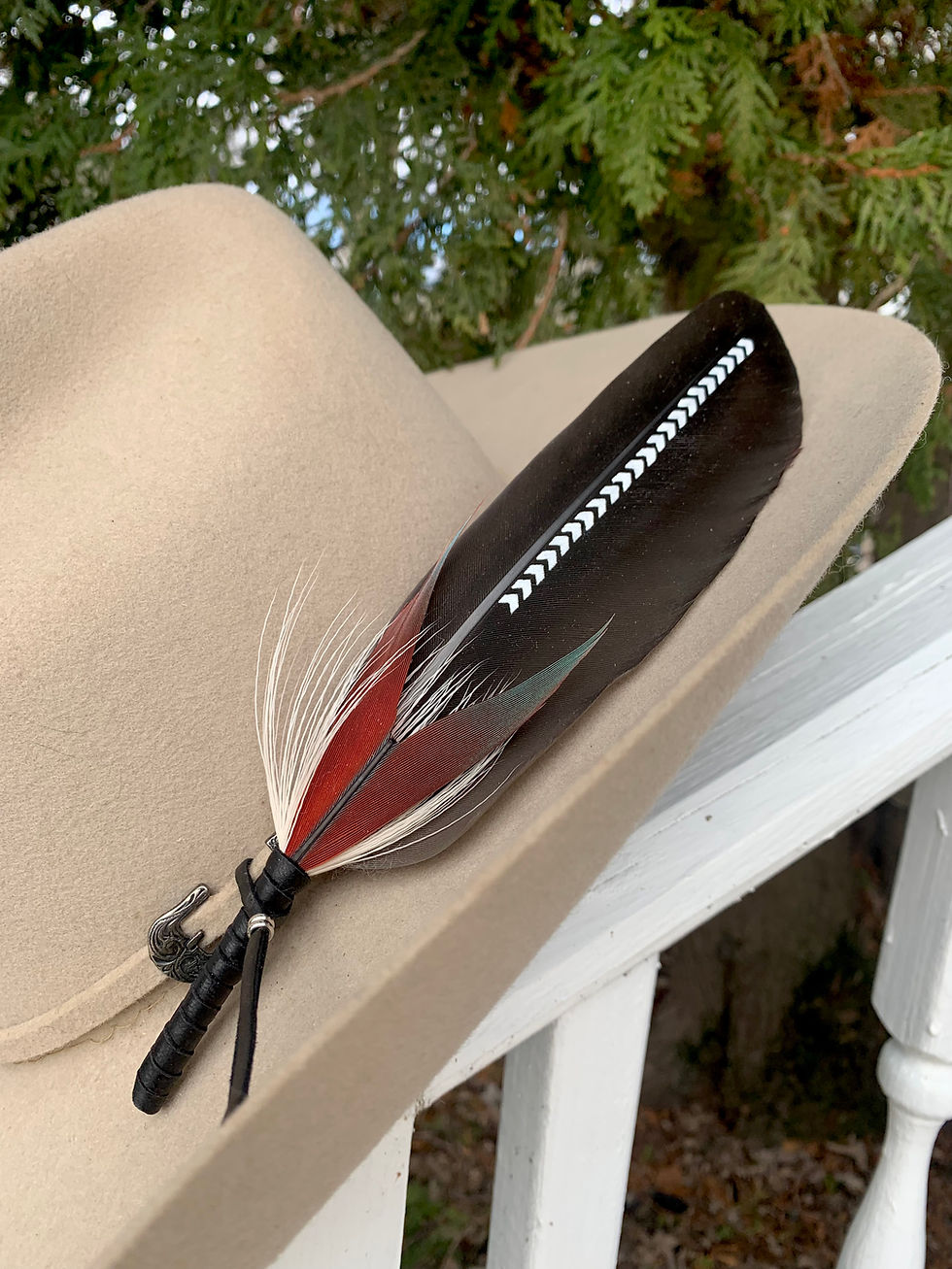 Thumbnail: Western Hat Feather “The Scarlet Frontier”