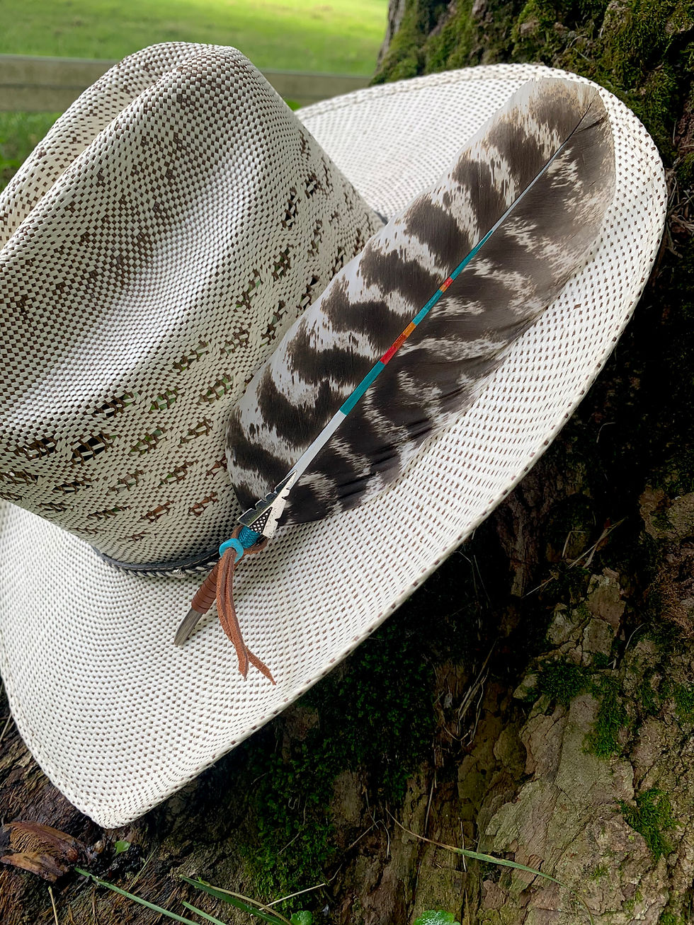 Thumbnail: Wester Hat Feather “The Painted Brave”