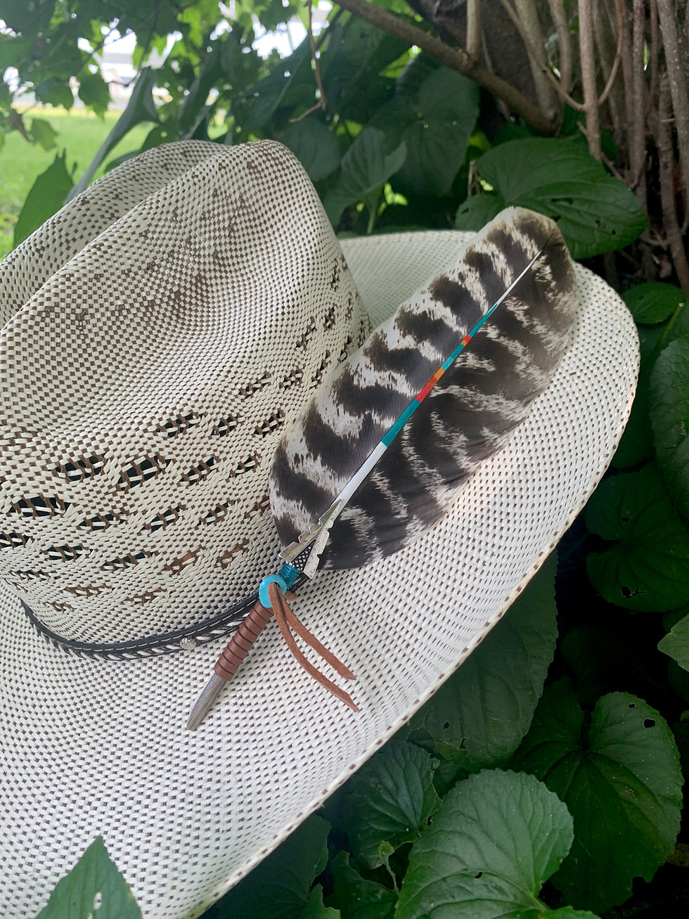Thumbnail: Wester Hat Feather “The Painted Brave”