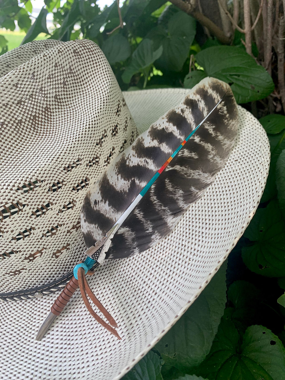 Thumbnail: Wester Hat Feather “The Painted Brave”