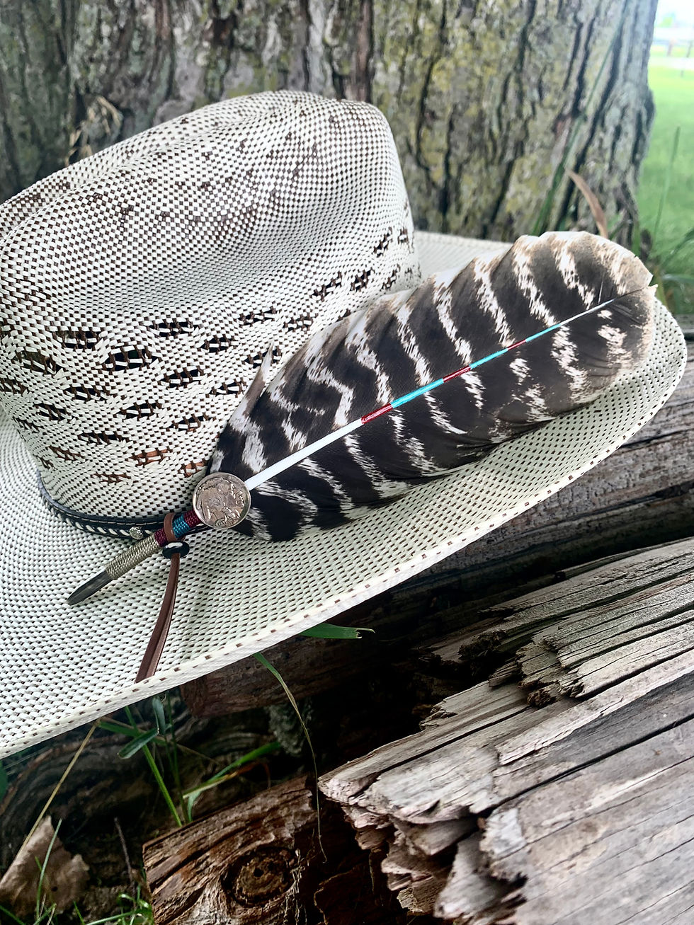 Thumbnail: Western Hat Feather “The Sovereign Trail”
