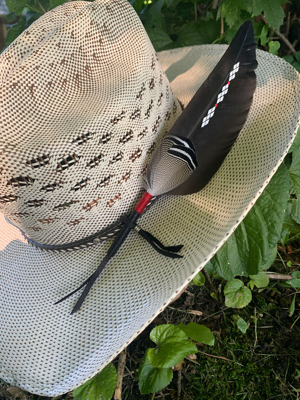 Thumbnail: Western Hat Feather “The High Desert”