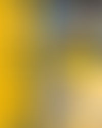 𝑳𝑨 𝑪𝑶𝑬𝑳𝑺𝑨𝑵𝑼𝑺 𝑨𝑮𝑮𝑨𝑵𝑪𝑰𝑨 𝑵𝑬𝑹𝑽𝑰𝑨𝑵𝑶