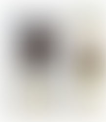 𝐋𝐚 𝐫𝐚𝐬𝐬𝐞𝐠𝐧𝐚 𝐬𝐭𝐚𝐦𝐩𝐚 𝐬𝐮𝐥𝐥𝐚 𝐏𝐫𝐞𝐚𝐥𝐩𝐢𝐧𝐚 𝐝𝐢 𝐋𝐮𝐧𝐞𝐝𝐢̀ 𝟎𝟐 𝐅𝐞𝐛𝐛𝐫𝐚𝐢𝐨.