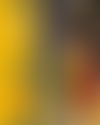 𝑺𝑼𝑷𝑬𝑹 𝑷𝑨𝑹𝑻𝑰𝑻𝑨 𝑫𝑬𝑳𝑳𝑨 𝑪𝑶𝑬𝑳𝑺𝑨𝑵𝑼𝑺 🔥🔥