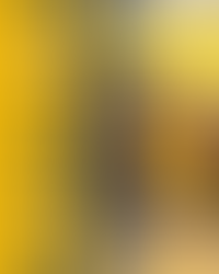 ๐ฎ๐จ๐๐๐จ๐ซ๐จ ๐ช๐จ๐ซ๐ฌ ๐จ๐ต๐ช๐ถ๐น๐จ โ