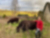 'Land Use and the Potential for Regenerative Farming in Stroud District'
