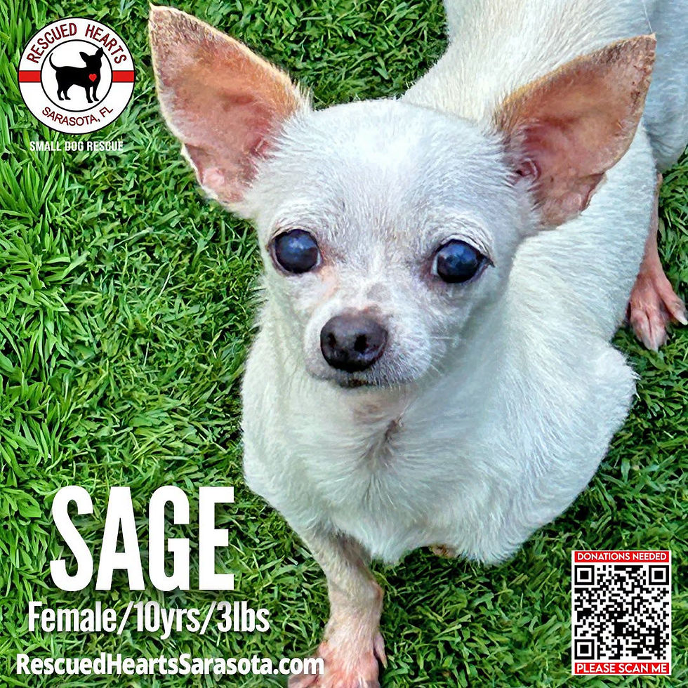 Sage