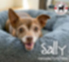 Sally