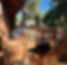 IMG_3415.JPEG