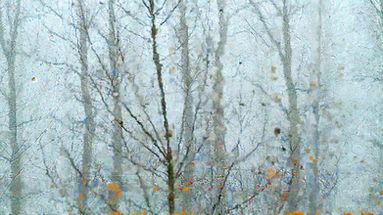 1000 LUMIÈRES
live audiovisuel