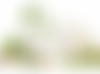 migliori detersivi naturali per la casa