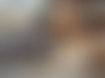 Detersivo pavimenti non tossico per animali