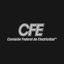 Diseño web y programación